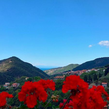 Camera Tra Le Cinque Terre, Camogli E Portofino. Vista Valle E Scorcio Mare All'Orizzonte Castiglione Chiavarese エクステリア 写真