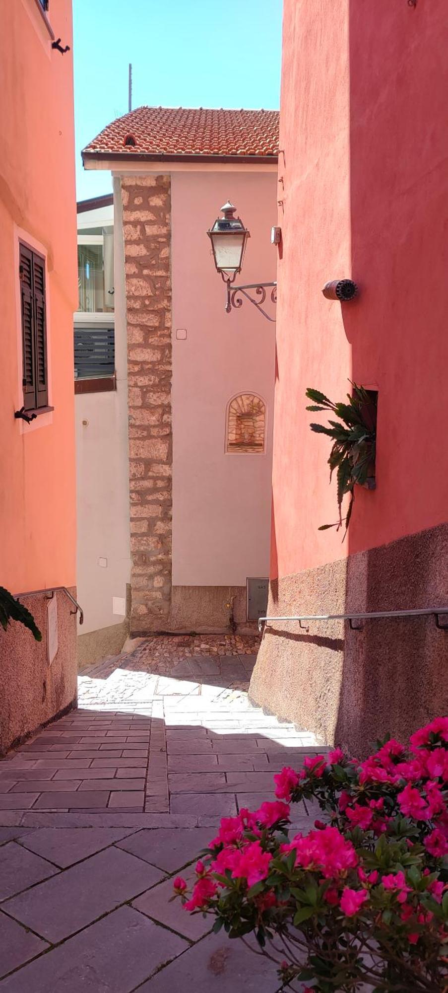 Camera Tra Le Cinque Terre, Camogli E Portofino. Vista Valle E Scorcio Mare All'Orizzonte Castiglione Chiavarese エクステリア 写真