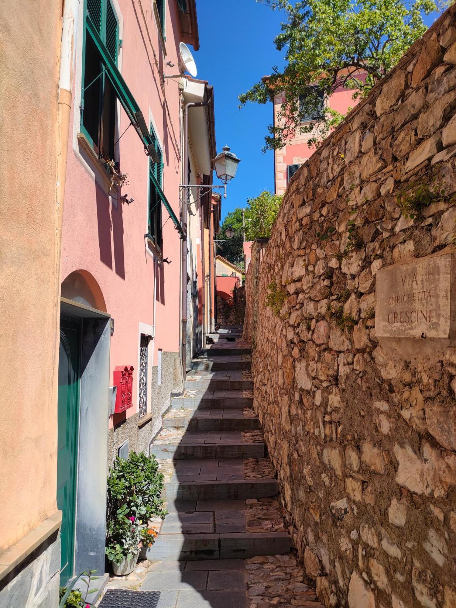 Camera Tra Le Cinque Terre, Camogli E Portofino. Vista Valle E Scorcio Mare All'Orizzonte Castiglione Chiavarese エクステリア 写真