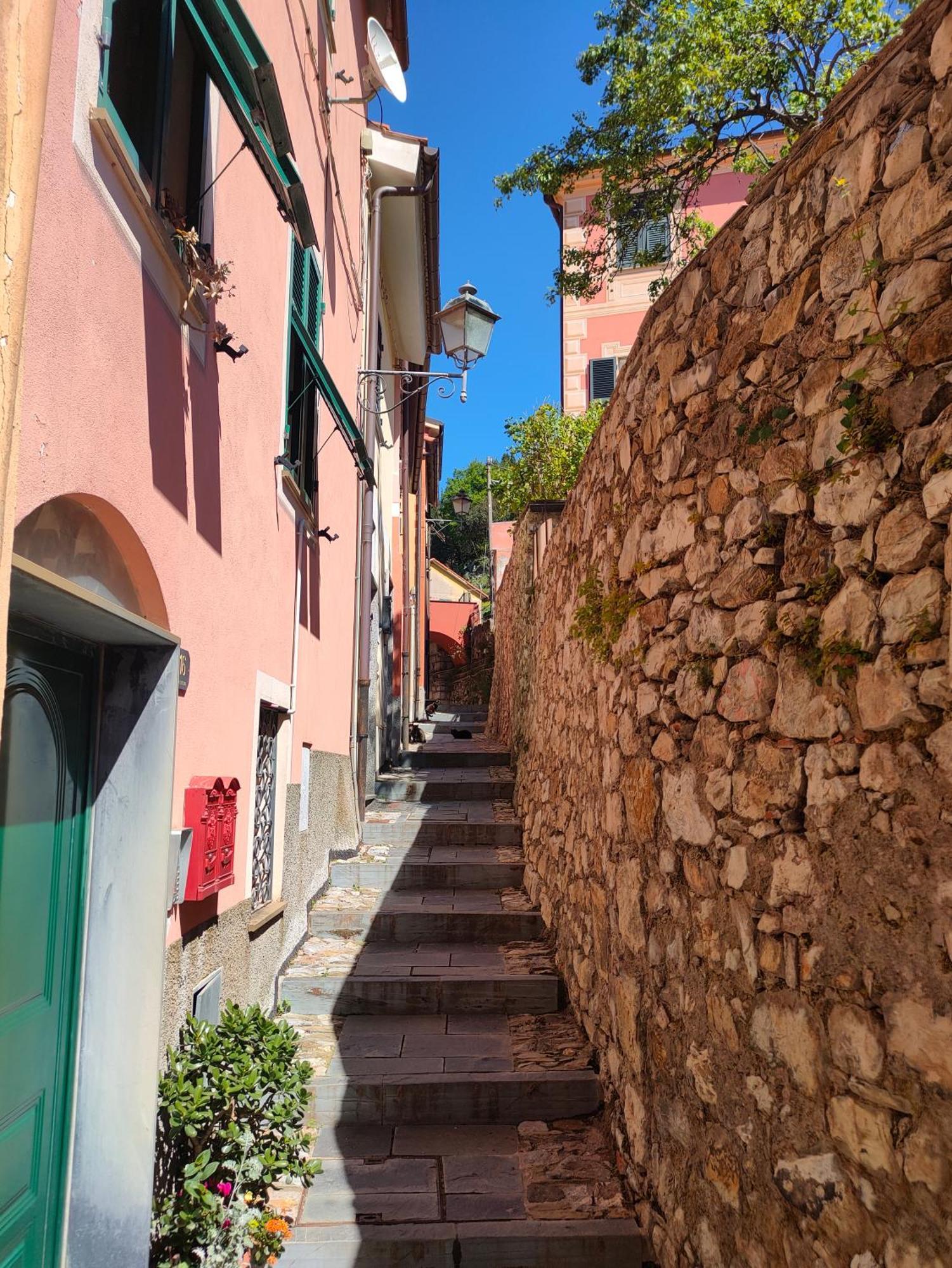 Camera Tra Le Cinque Terre, Camogli E Portofino. Vista Valle E Scorcio Mare All'Orizzonte Castiglione Chiavarese エクステリア 写真