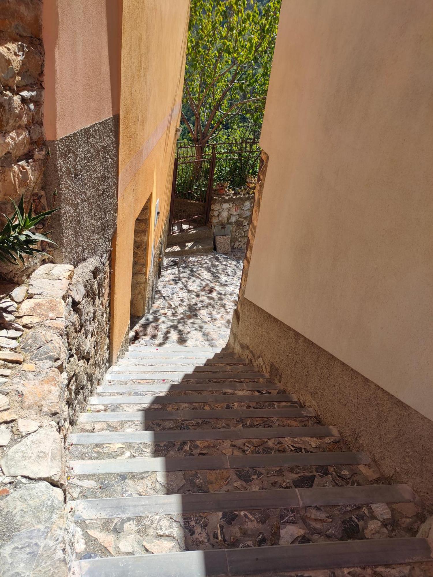 Camera Tra Le Cinque Terre, Camogli E Portofino. Vista Valle E Scorcio Mare All'Orizzonte Castiglione Chiavarese エクステリア 写真