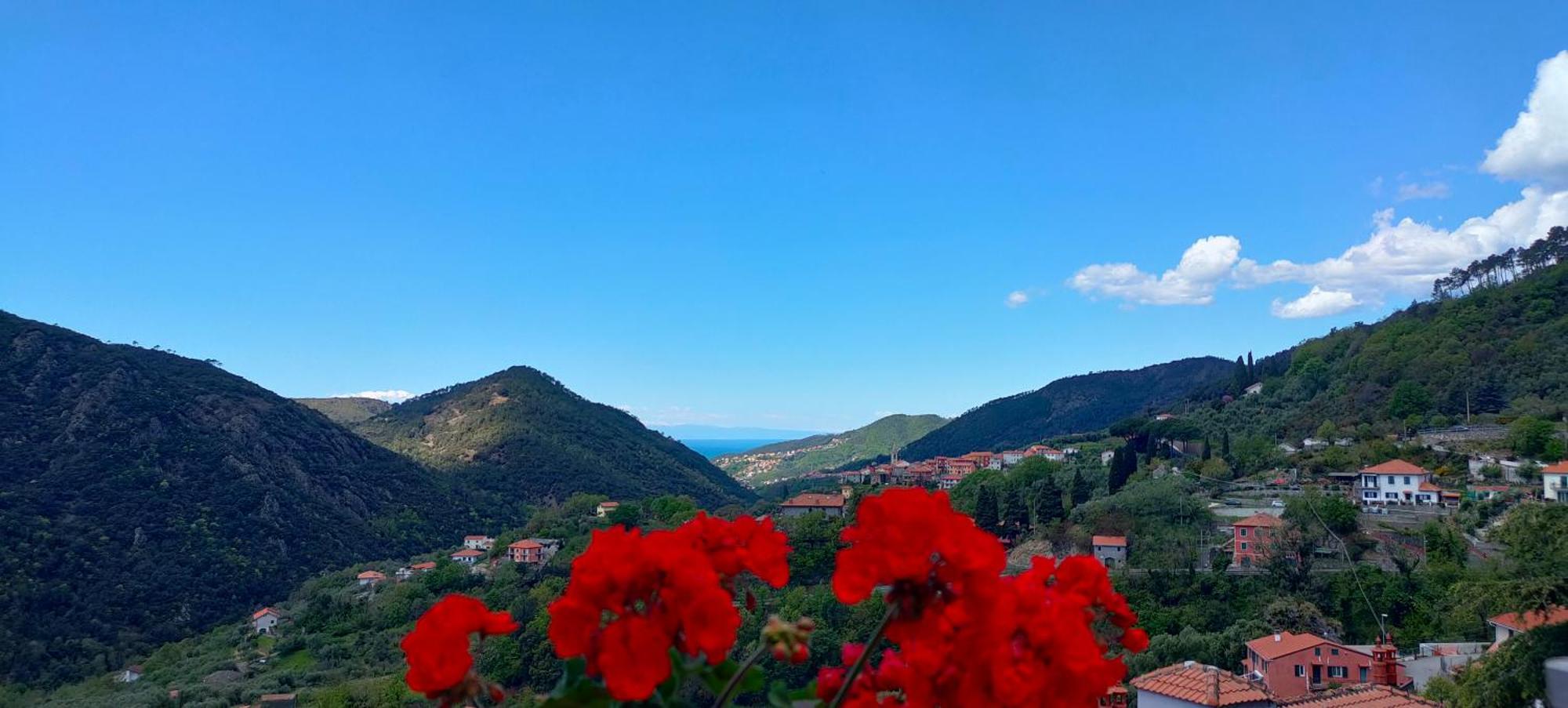 Camera Tra Le Cinque Terre, Camogli E Portofino. Vista Valle E Scorcio Mare All'Orizzonte Castiglione Chiavarese エクステリア 写真